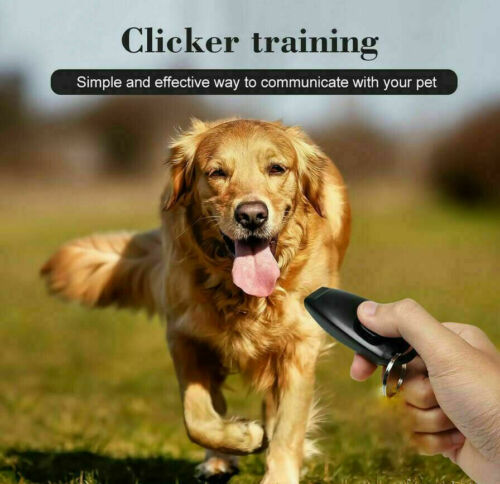 Animal Dog Cat Bird Horse Pet Training Clicker Obedience Aid Training