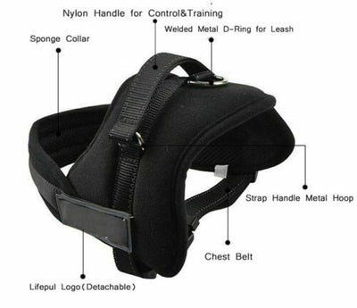 No-pull Dog Harness Outdoor Adventure Pet Vest Padded Handle- Small Extra Large