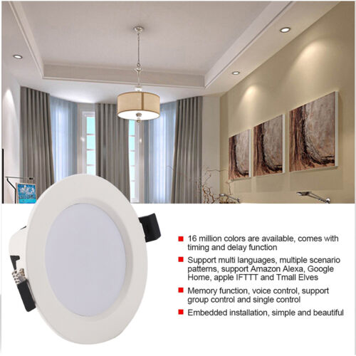 Premium Led Panel Round Ceiling Down Light Silver 10WR Blade Downlight CA