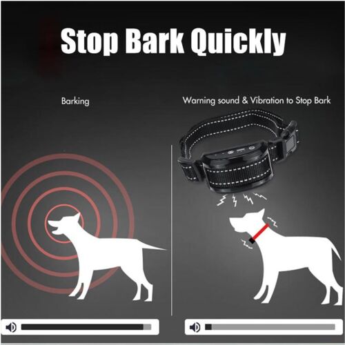 Anti Dog No Shock Bark Collar LED Indicator Rechargeable Anti Barking Waterproof