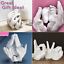 Hand Casting Kit for Couples, Adults, Keepsake – DIY Plaster Statue Cast Kit