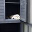 Large Cat House with 4 Stories, Indoor and Outdoor Cat Enclosure, Catio