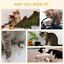 Modern Climbing Activity Cat Tower with Scratching Posts Cat Condo Spinning Toy