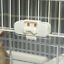 4-Level Hamster or Small Animal Hutch/Cage, White, 43.25&quot; H 842525186469