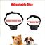 Anti Dog No Shock Bark Collar LED Indicator Rechargeable Anti Barking Waterproof