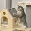 Modern Climbing Activity Cat Tower with Scratching Posts Cat Condo Spinning Toy