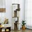 Multi-Lever Cat Tower with Scratching Posts, Small-Fit Kitten Tower with Sisal