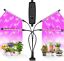 LED Plant Grow Light Gooseneck Dual Head Lamp Hydroponics Greenhouse Dimmable CA