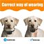 Anti Dog No Shock Bark Collar LED Indicator Rechargeable Anti Barking Waterproof