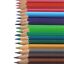 Water Coloured Pencils 24Colours for Artists Water colour Pencil for School Kids