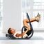 Abdominal Abs Crunch Equipment Fitness Roller Machine Trainer Exercise